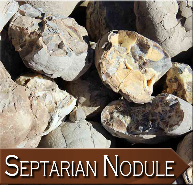 Septarian Nodule